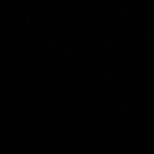 Meet your Posher, Tommy